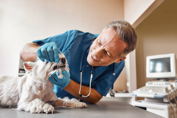 Best After-Hours Emergency Dentist in Wildwood, FL